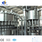 Línea de producción automática de agua pura de la máquina de llenado de bebidas del proyecto de la planta de agua mineral