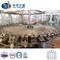 Máquina/línea/equipo de producción de llenado de agua pura/mineral completamente automática para botellas de PET